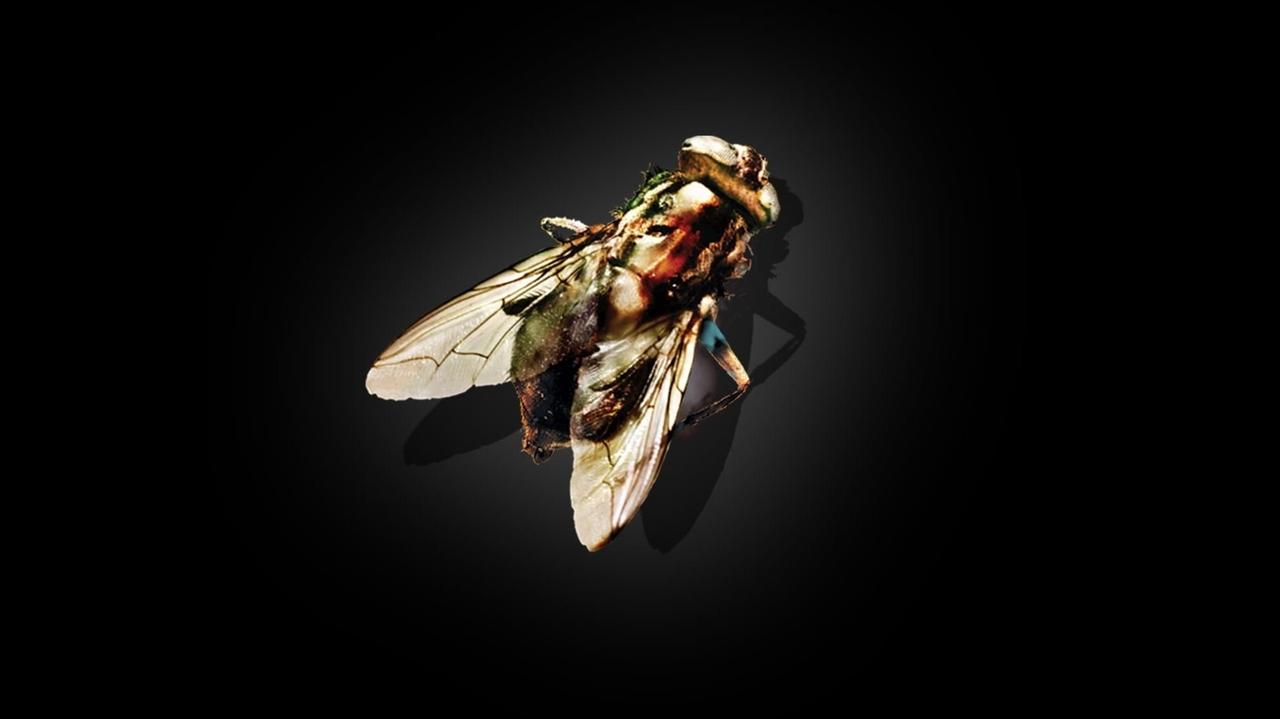 Die Fliege